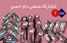 کشتارگاه صنعتی در آذربایجان شرقی